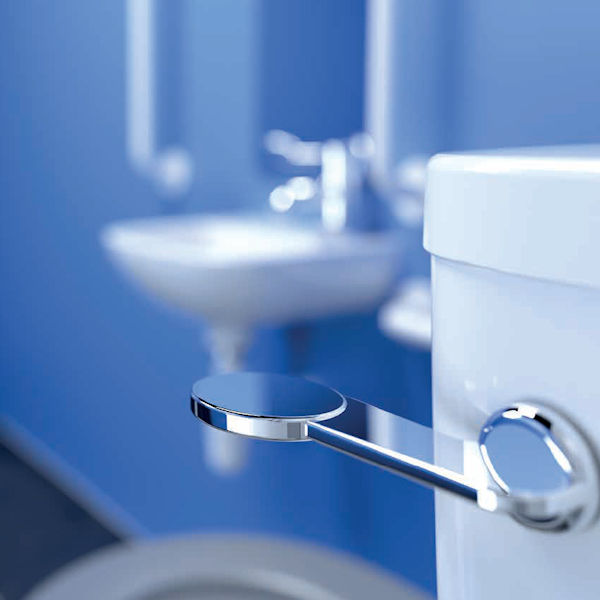 Refurbishment Companies Toilet flush for nursing homes